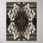 Weiße Wildpilze Abstrakte Natur Poster (Vorne)