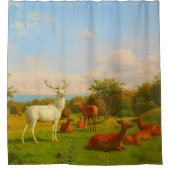 Weiße Wildtiere Duschvorhang (Vorderseite)