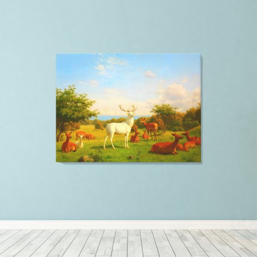 Weiße Wildtiere Leinwanddruck (Insitu (Holzboden))