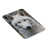 WEISSE WOLF FLEXIBLE MAGNET (Rechte Seite)