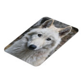 WEISSE WOLF FLEXIBLE MAGNET (Linke Seite)