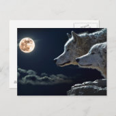 Weiße Wölfe im Vollmond Postkarte (Vorne/Hinten)