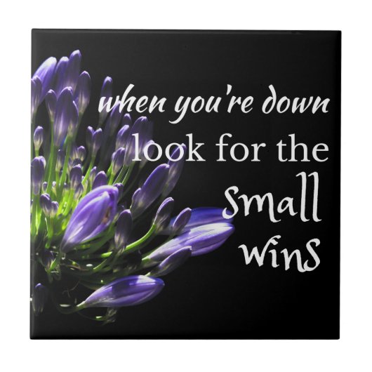 Weiße Worte: ...Suche nach den kleinen Gewinnen Fliese (Vorderseite)