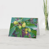 Weiße Zahlen auf Baumkarte Karte (Vorderseite)