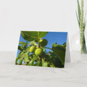 Weiße Zahlen auf Baumkarte Karte (Vorderseite)