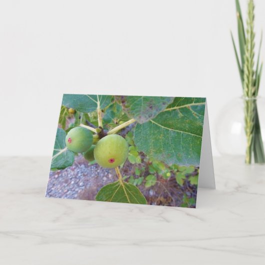 Weiße Zahlen auf Baumkarte Karte (Vorderseite)