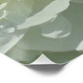 Weiße Zapfen, blumengeschmücktes Foto Poster (Ecke)