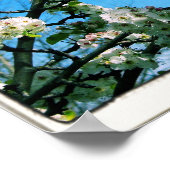 Weiße Zitate Poster (Ecke)