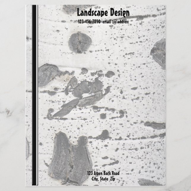 Weiße Zitterpappel-Baumrinde-Beschaffenheit Briefbogen (Vorderseite)