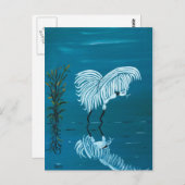 WEISSEGRET POSTKARTE (Vorne/Hinten)