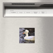 Weißentrockente Magnet (In Situ (Geschirrspüler))