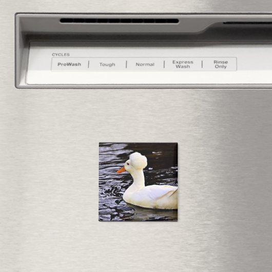 Weißentrockente Magnet (In Situ (Geschirrspüler))