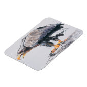 Weißer Adler 2001 Magnet (Linke Seite)