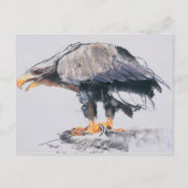 Weißer Adler 2001 Postkarte (Vorderseite)
