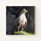 Weißer Adler Notizblock (Rückseite)