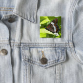 Weißer Admirals-Schmetterling Button (Beispiel)