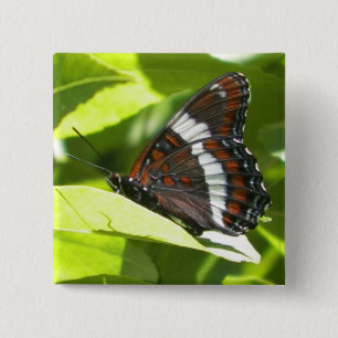 Weißer Admirals-Schmetterling Button