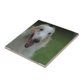 Weißer Afghane Fliese (Seite)