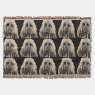 Weißer Afghane Windhund Decke