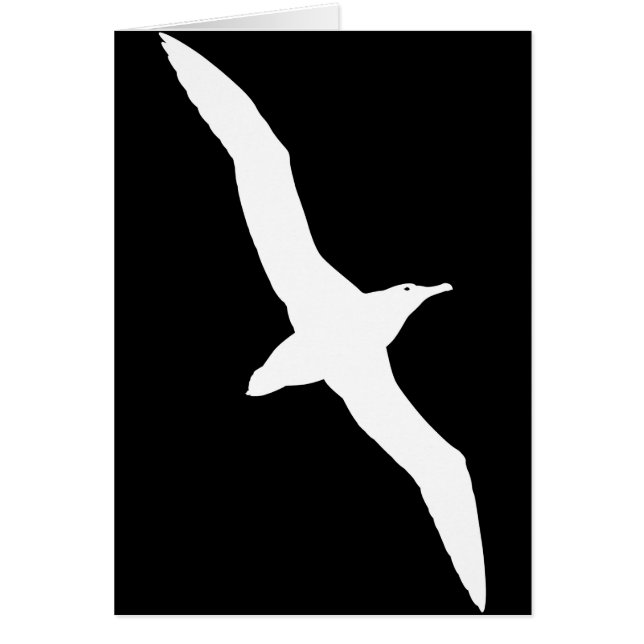 Weißer Albatros-Vogel im Flug (Vorne)