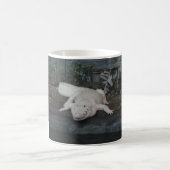 weißer Alligator Kaffeetasse (Mittel)