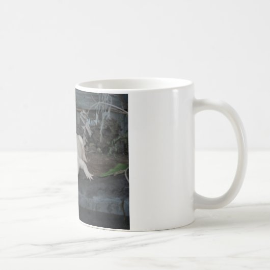 weißer Alligator Kaffeetasse (Rechts)