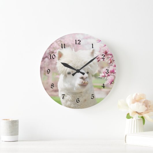 Weißer Alpaca Große Wanduhr (Zuhause)