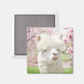 Weißer Alpaca Magnet (Vorderseite/Rückseite)