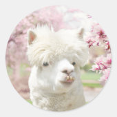 Weißer Alpaca Runder Aufkleber (Vorderseite)