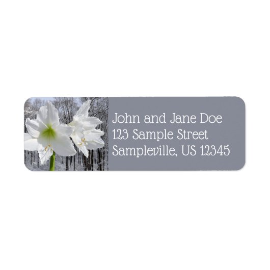 Weißer Amaryllis und Schnee I (Vorne)