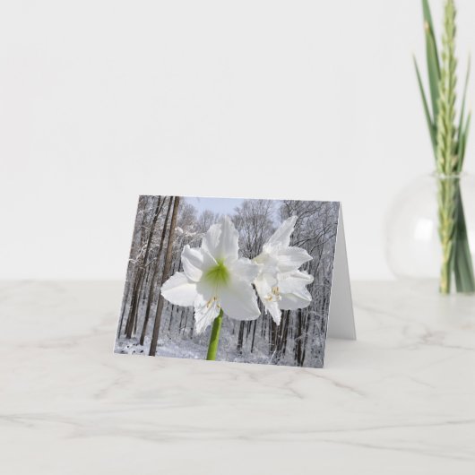 Weißer Amaryllis und Schnee I Feiertagskarte (Vorderseite)