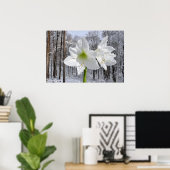 Weißer Amaryllis und Schnee I Poster (Heimbüro)