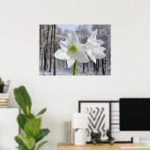 Weißer Amaryllis und Schnee I Poster (Heimbüro)