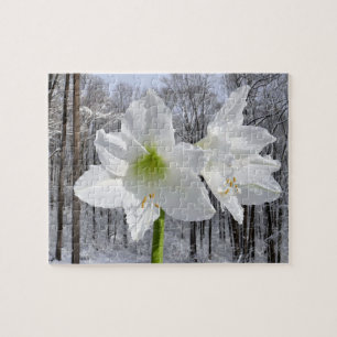 Weißer Amaryllis und Schnee I Puzzle