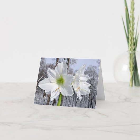 Weißer Amaryllis und Schnee II Feiertagskarte (Vorderseite)