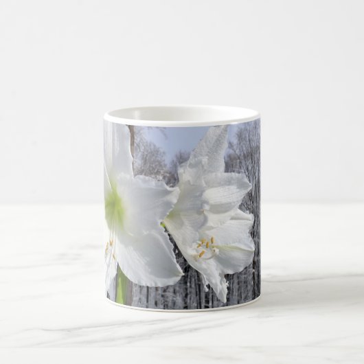 Weißer Amaryllis und Schnee II Kaffeetasse (Mittel)