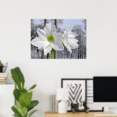 Weißer Amaryllis und Schnee II Poster (Heimbüro)