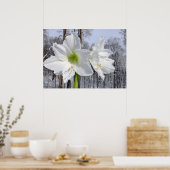 Weißer Amaryllis und Schnee II Poster (Küche)