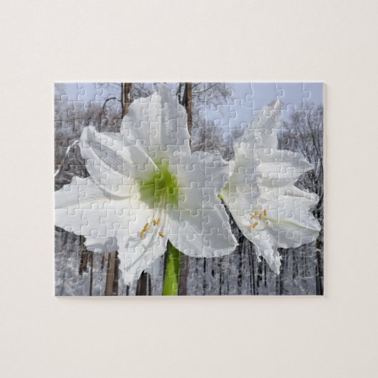 Weißer Amaryllis und Schnee II Puzzle (Horizontal)