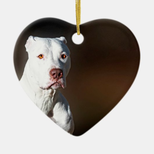 Weißer Amerikaner Pitbull Terrier Rettungs-Hund Keramikornament (Vorne)