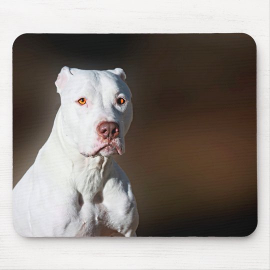 Weisser Amerikaner Pitbull Terrier Rettungs Hund Mousepad Zazzle De