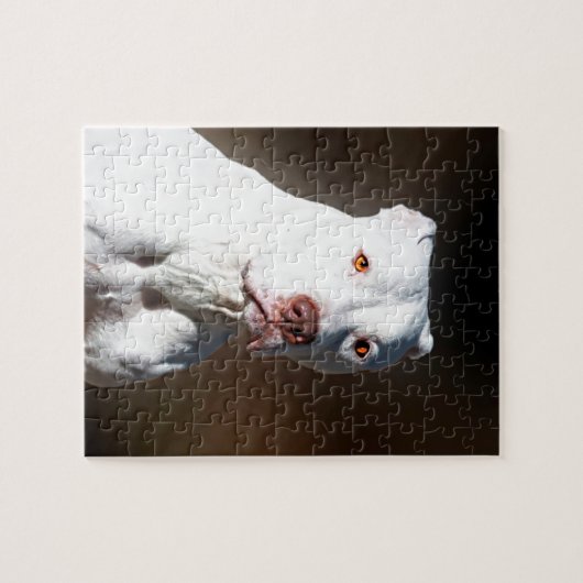 Weißer Amerikaner Pitbull Terrier Rettungs-Hund Puzzle (Horizontal)