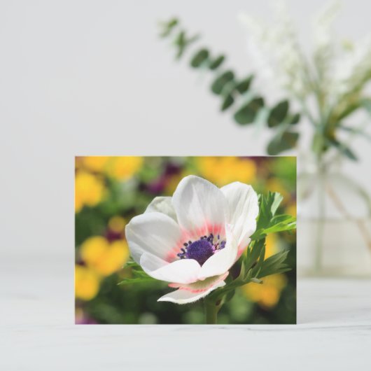 Weißer Anemone Postkarte (Stehend Vorderseite)