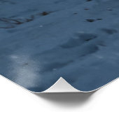 Weißer Arktische Fox Poster (Ecke)