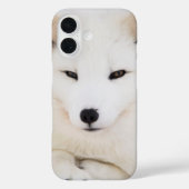Weißer Arktische Fuchs Case-Mate iPhone Hülle (Rückseite)