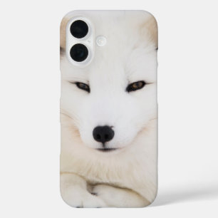 Weißer Arktische Fuchs iPhone 16 Hülle