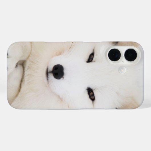 Weißer Arktische Fuchs Case-Mate iPhone Hülle (Rückseite (Horizontal))