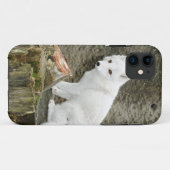 Weißer Arktische Fuchs Case-Mate iPhone Hülle (Rückseite (Horizontal))