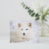 Weißer Arktische Fuchs Postkarte (Stehend Vorderseite)