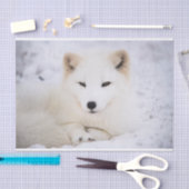 Weißer arktischer Fuchs beobachtet dich Seidenpapier (Handwerk)